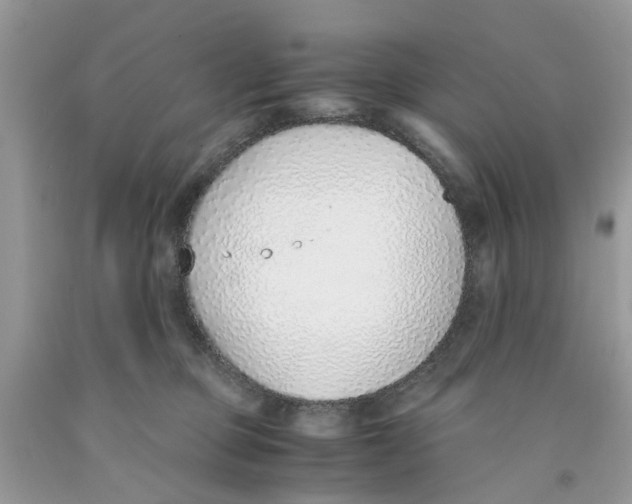 X0000091520373200709141419