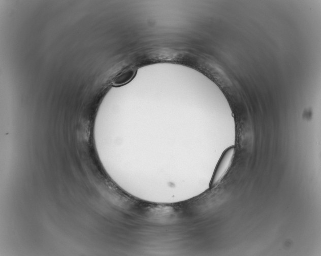 X0000091520374200709141419