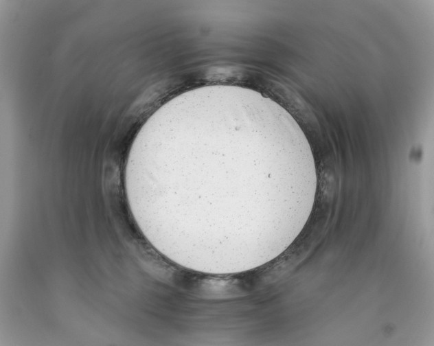 X0000091520375200709141419