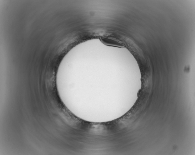 X0000091520376200709141419