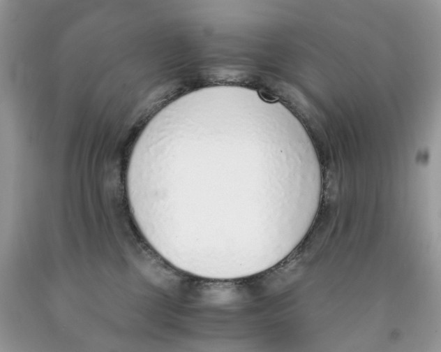 X0000091520377200709141419