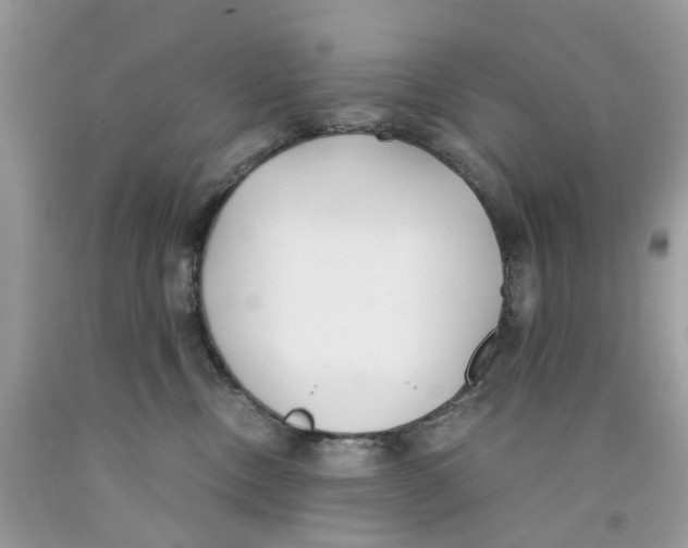 X0000091520378200709141420