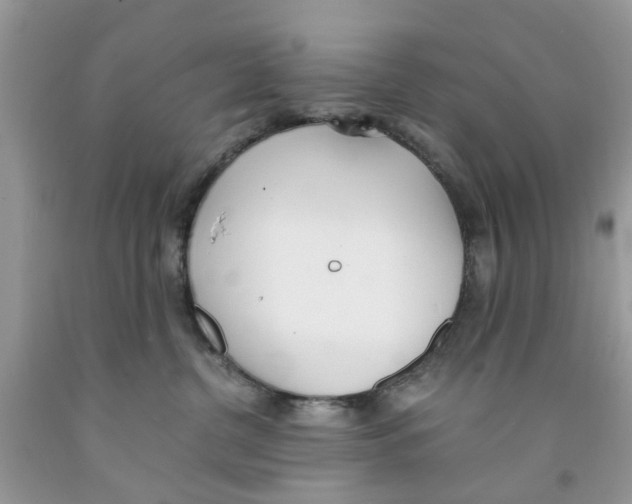 X0000091520380200709141420