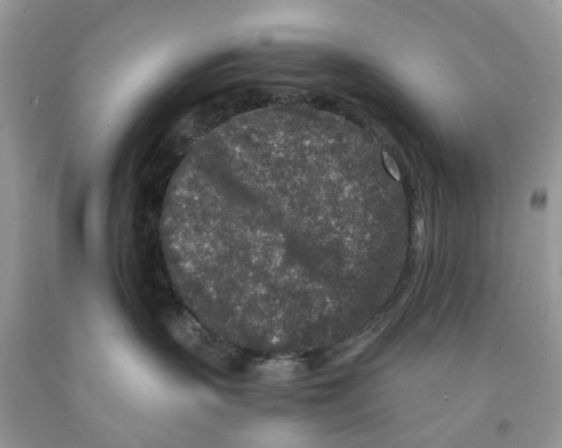 X0000091520383200709141420