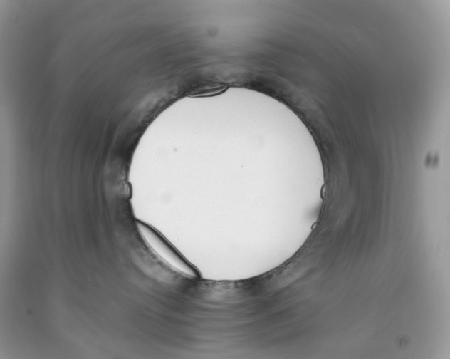 X0000091520384200709141420