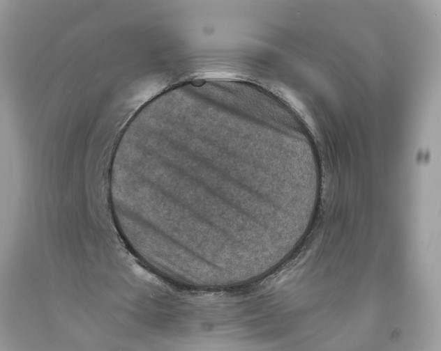 X0000091520385200709141419