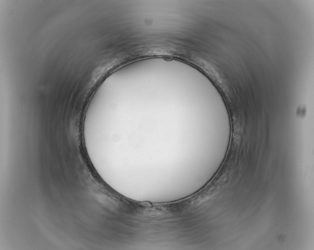 X0000091520386200709141419