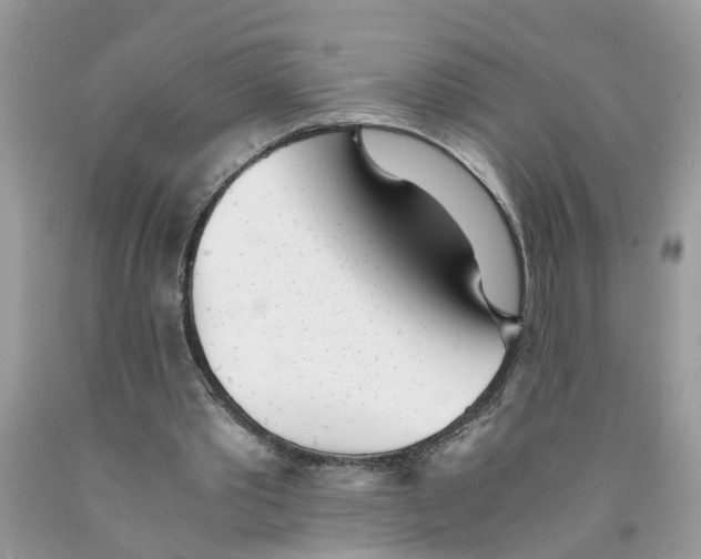 X0000091520389200709141419