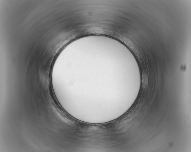 X0000091520390200709141419