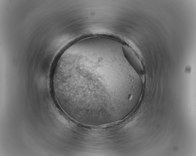 X0000091520391200709141419