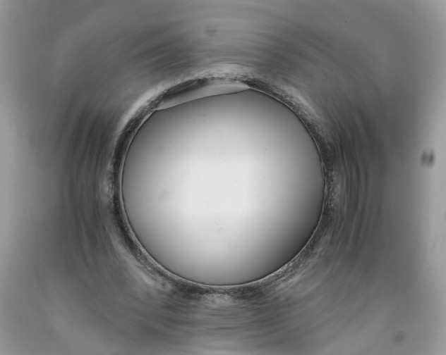 X0000091520392200709141419