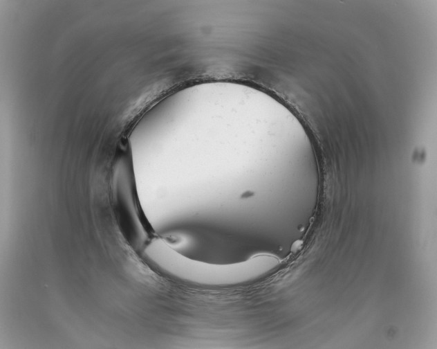 X0000091520393200709141419