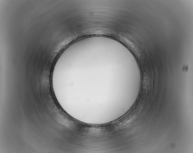 X0000091520394200709141419