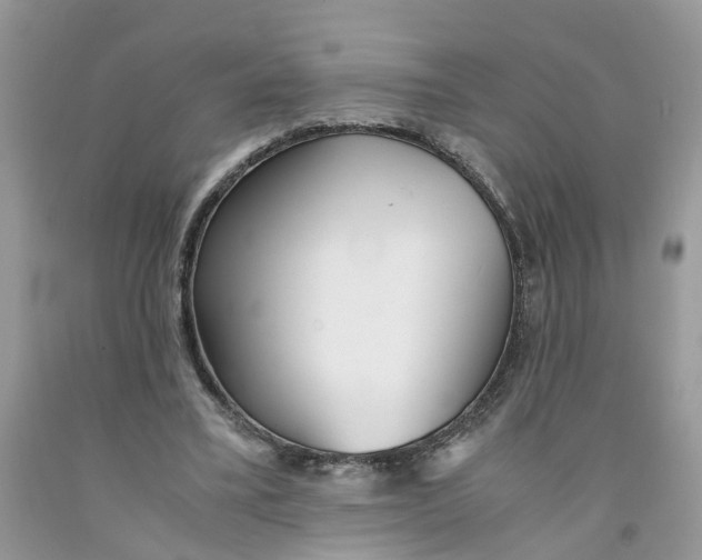 X0000091520395200709141419