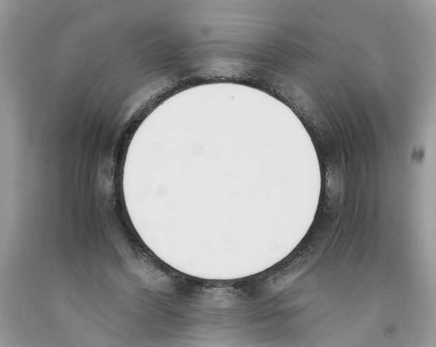 X0000091520396200709141419