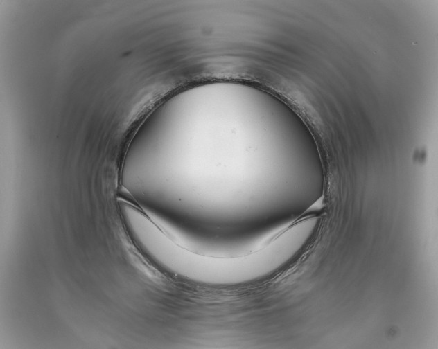 X0000091520397200709141419