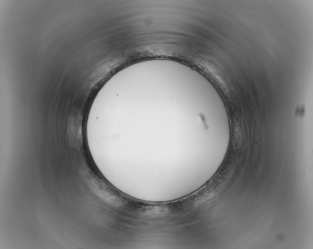 X0000091520398200709141419