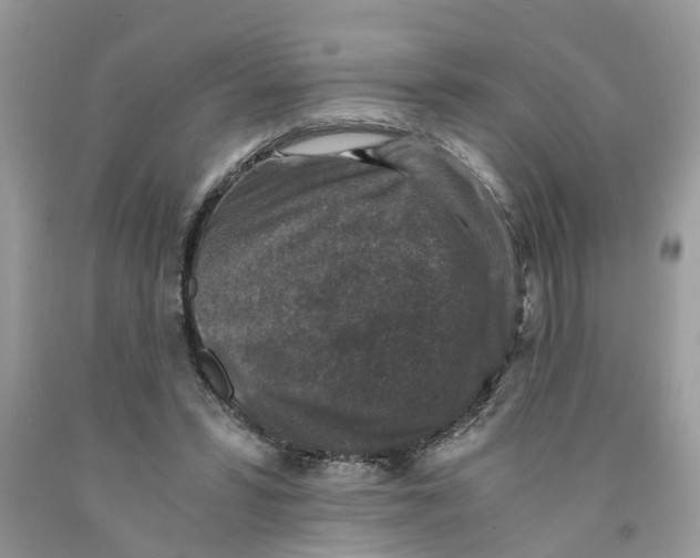 X0000091520399200709141419