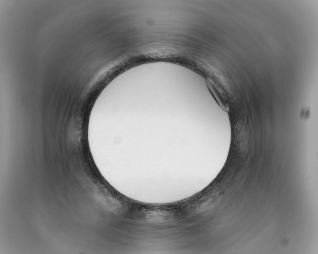 X0000091520400200709141419