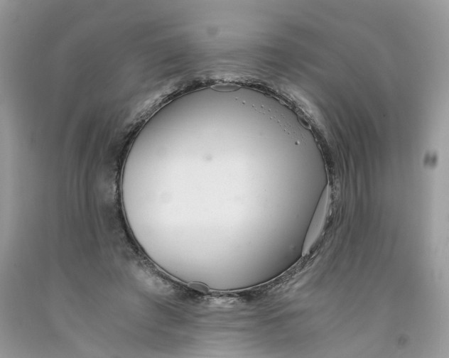 X0000091520401200709141419