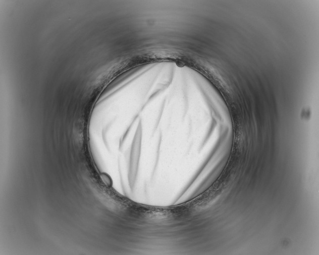 X0000091520402200709141419