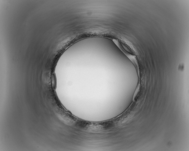 X0000091520403200709141419