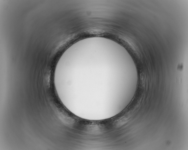 X0000091520404200709141419