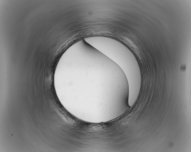 X0000091520405200709141419