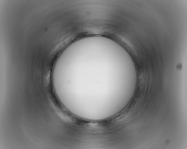 X0000091520406200709141419