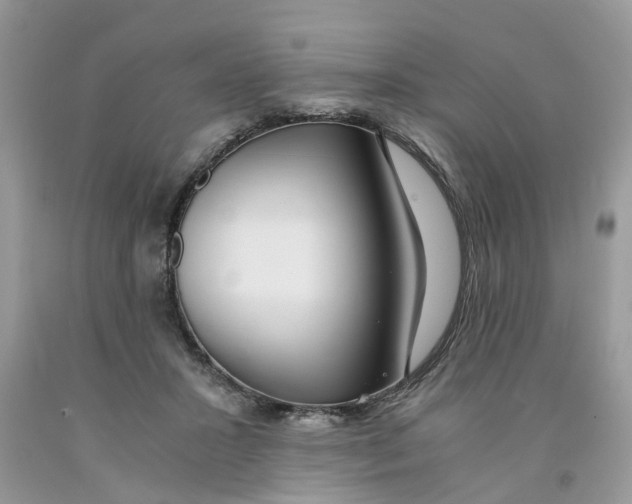 X0000091520407200709141419