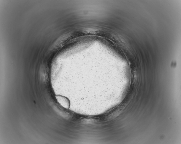 X0000091520408200709141419