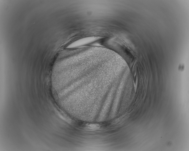 X0000091520409200709141419