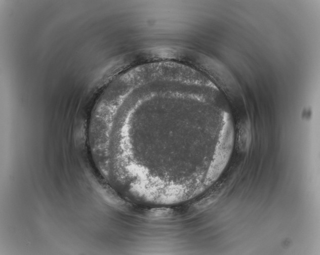 X0000091520410200709141419