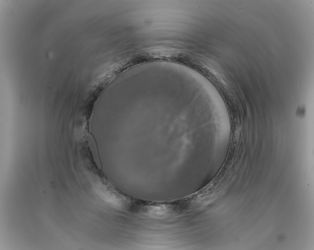 X0000091520411200709141419