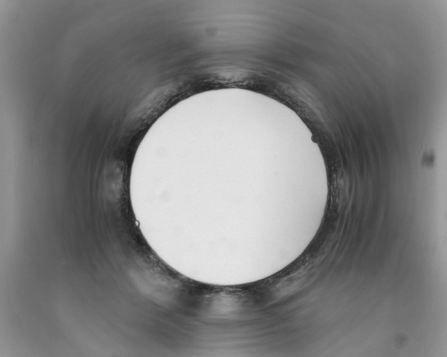 X0000091520412200709141419