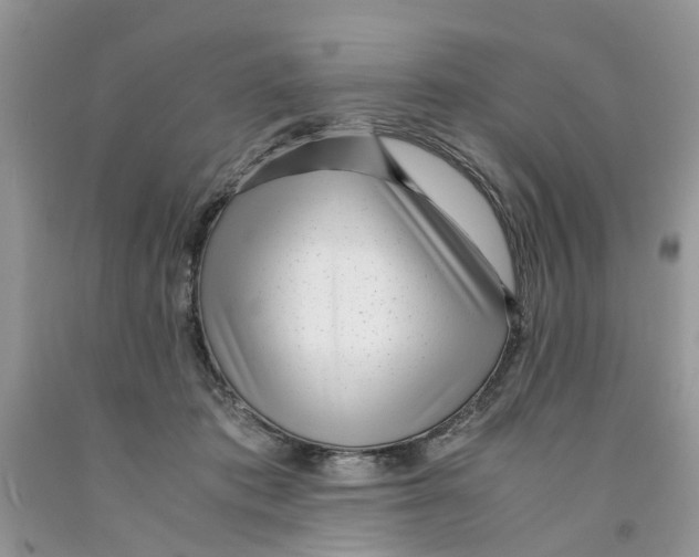 X0000091520413200709141419