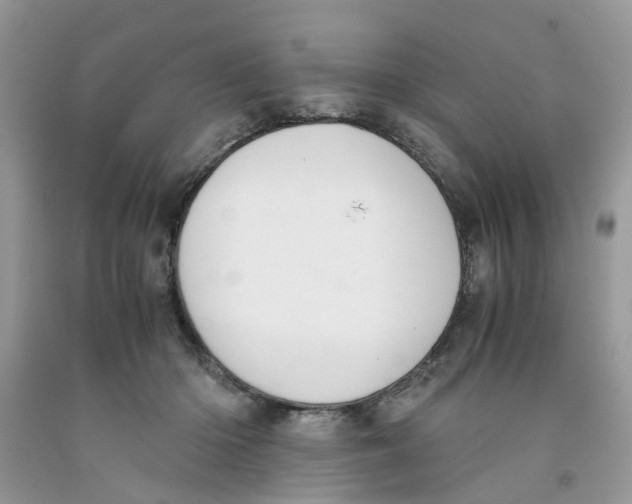 X0000091520414200709141419