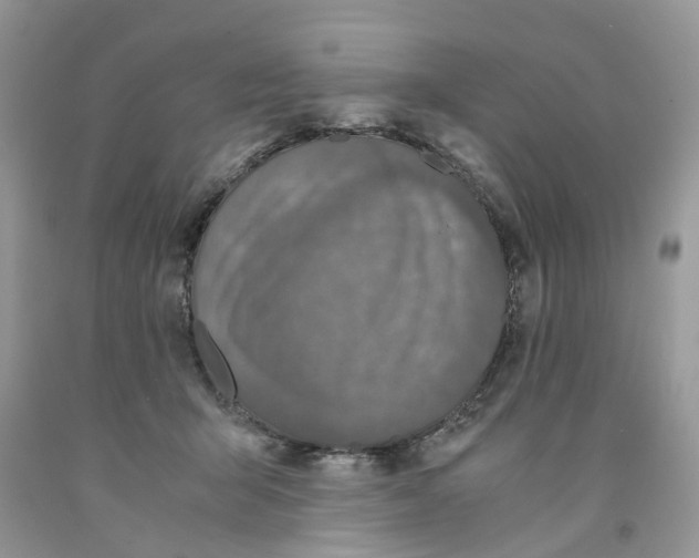 X0000091520415200709141419