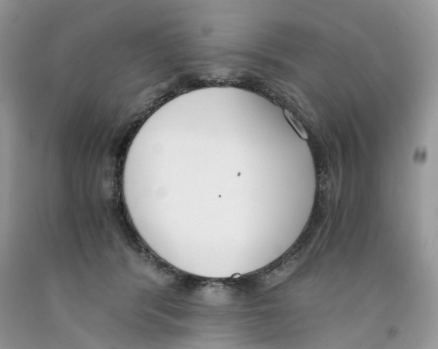 X0000091520416200709141419