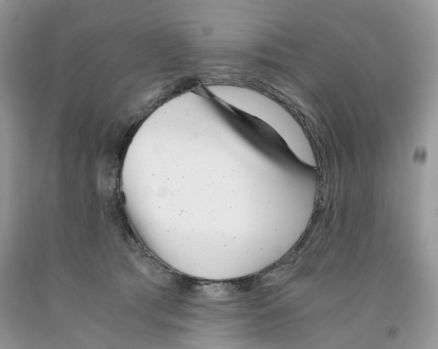 X0000091520417200709141419