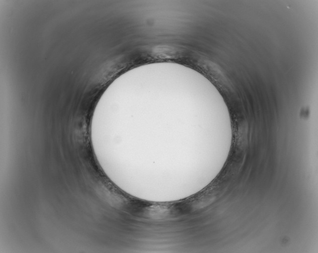 X0000091520418200709141419