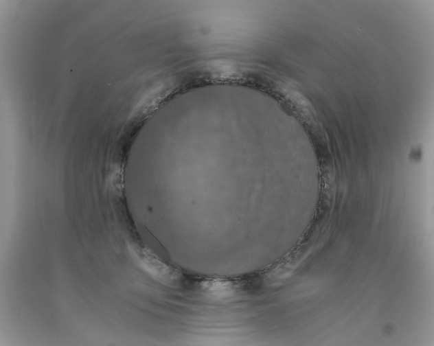 X0000091520419200709141419