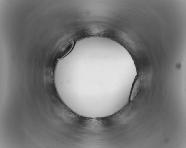 X0000091520421200709141419