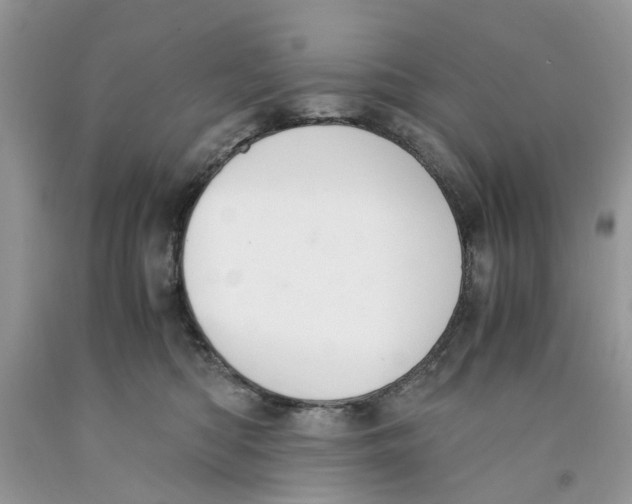 X0000091520422200709141419