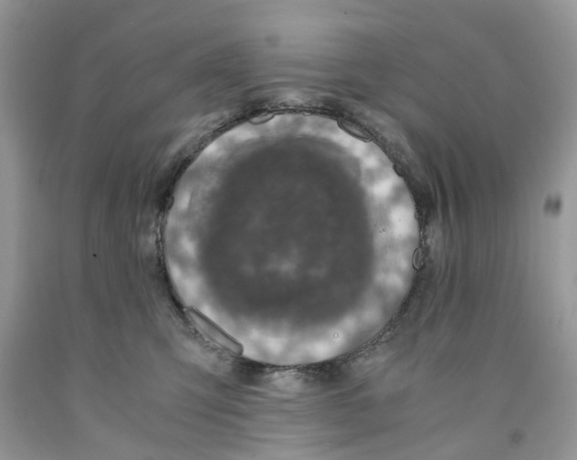 X0000091520423200709141419