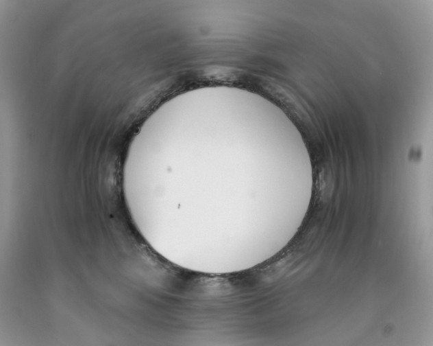 X0000091520424200709141418