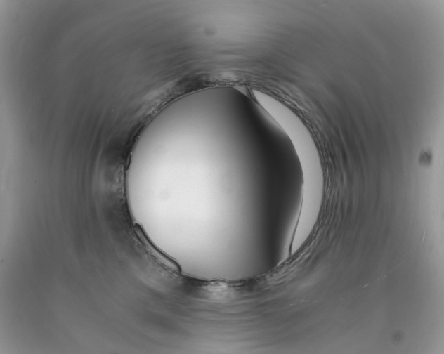 X0000091520425200709141418