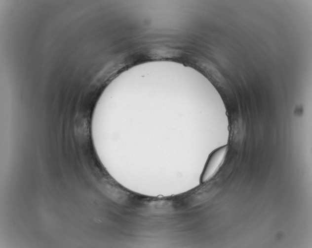 X0000091520426200709141418