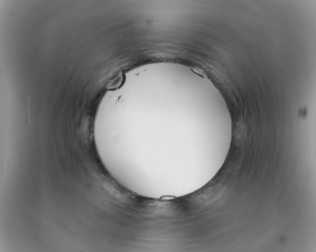 X0000091520428200709141418