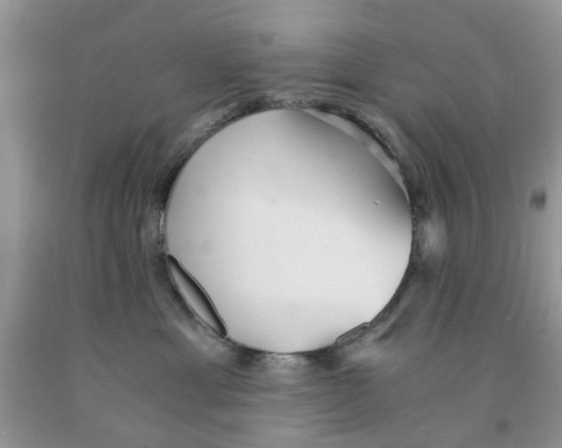 X0000091520429200709141418